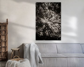 Reisefotografie 