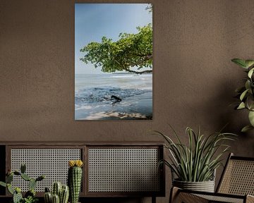 Reisefotografie 