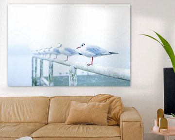 Seagulls in the fog. by Josine Claasen
