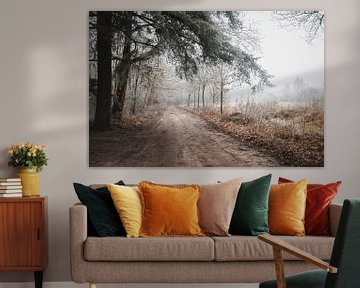 Nature reserve the Black Pine on a Winter Morning | Landscape Photography | Staphorst by Laura Dijkslag