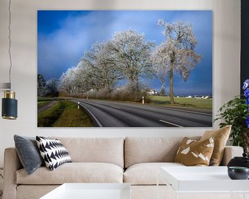 Winterlandschap langs een landweg van ManfredFotos
