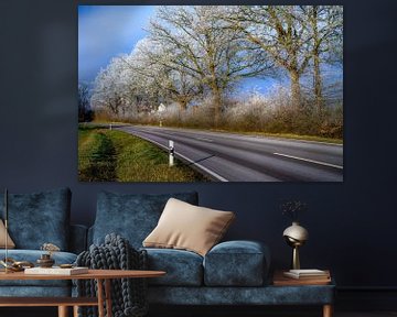 Winterlandschap langs een landweg van ManfredFotos