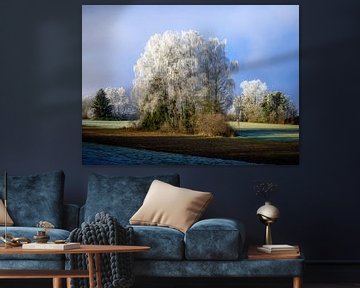 Winterlandschap met een groep bevroren berken van ManfredFotos