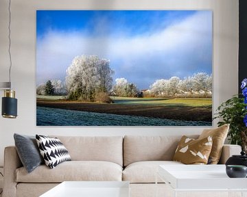 Winterlandschap met een groep bevroren berken van ManfredFotos