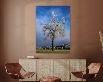 Winterlandschap met een ijzige boom van ManfredFotos