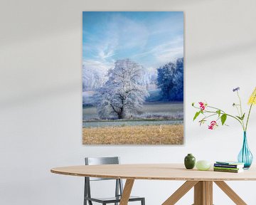Winterlandschap met een ijzige boom van ManfredFotos