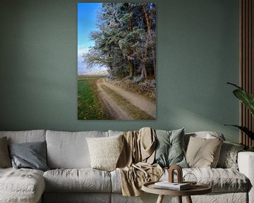 Berijpte bomen aan de rand van een bos van ManfredFotos