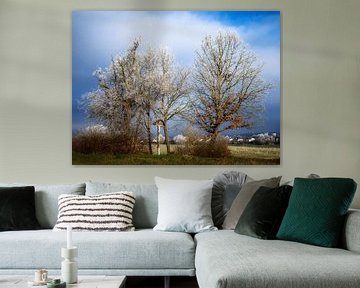 Veldkruis tussen ijzige bomen van ManfredFotos