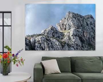 Mountain top by Werner Lerooy