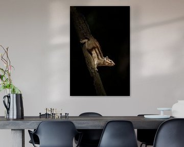 Sibirisches Erdhörnchen von Elles Rijsdijk