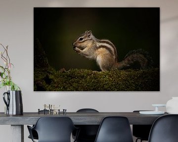 Sibirisches Erdhörnchen von Elles Rijsdijk
