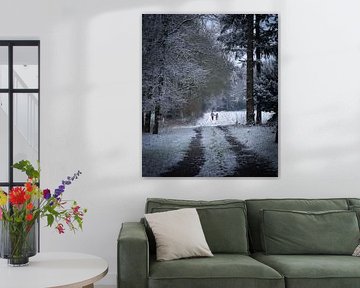 pays des merveilles de l'hiver