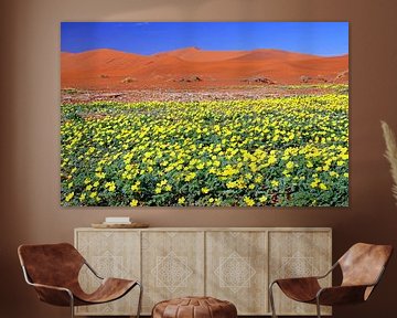 Flowers in the Namib - Namibia van W. Woyke