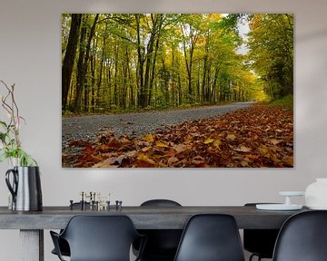 A deserted road in autumn by Claude Laprise