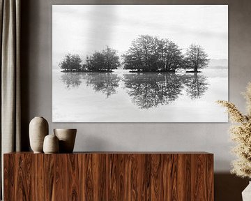 Landschap in zwart-wit