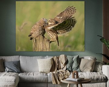 Fütterungszeit von Richard Kalkman fotografie