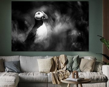 Vastberaden van Richard Kalkman fotografie