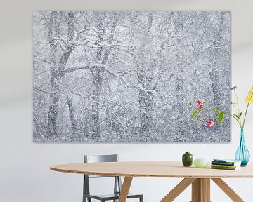 Haarvaten van Richard Kalkman fotografie