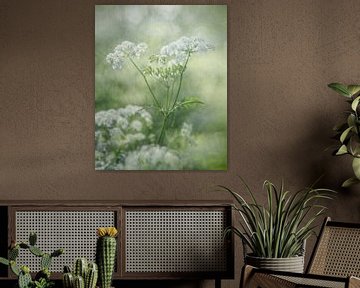 Simplicity by Richard Kalkman fotografie