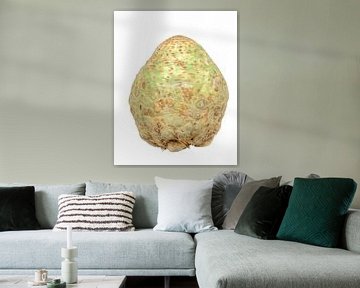 Echte selderij op een witte achtergrond van ManfredFotos