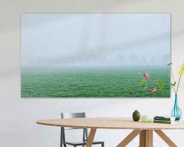 Trees in the fog by John Goossens Photography