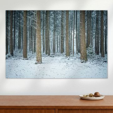 Boomstammen in de sneeuw