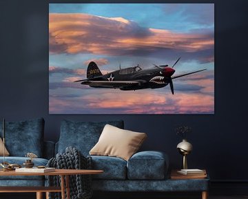 Curtiss P-40 Warhawk van Brian Morgan