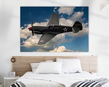 P40 gevechtsvliegtuig US ww2 van Brian Morgan