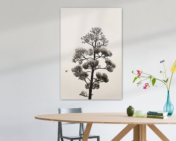 Vlinder bij bloeiende Agave plant van Frank Aardema