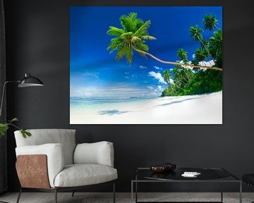 Maldives White beach and palm nature by FotoKonzepte