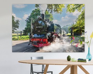 Historische Eisenbahn Rasender Roland auf Rügen von Markus Lange