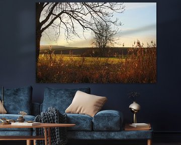 Landschaft mit Bäumen im Gegenlicht