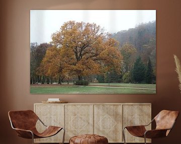 Luitpoldpark in Bad Kissingen im Herbst