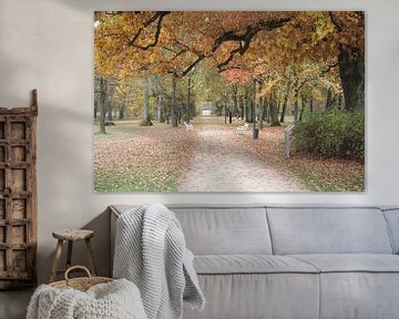 Weg im Luitpoldpark in Bad Kissingen