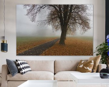 Weg mit Herbstlaub und Baum bei Bad Neustadt