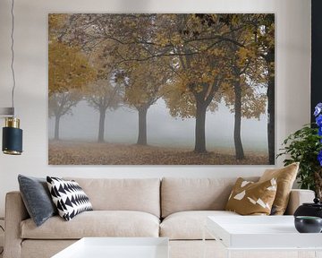 Baumallee mit Nebel im Herbst