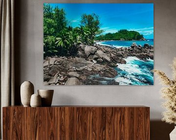 nature des seychelles