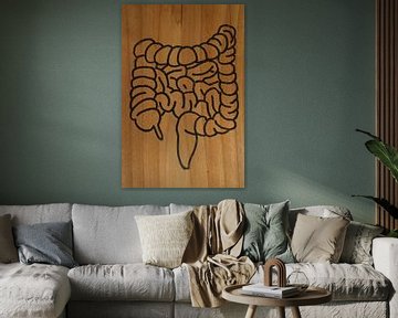 Intestines (1/3)