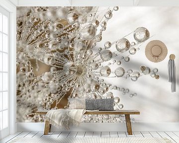 Rural natural ambience: tiny water droplets hang from a dandelion fluff by Marjolijn van den Berg