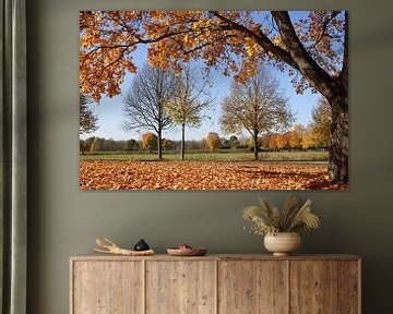 Bäume und Herbstlaub in Bad Neustadt