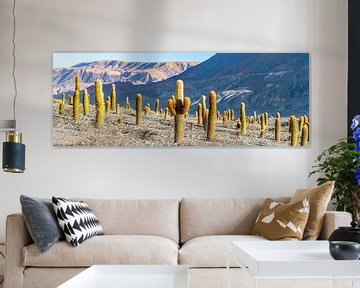 Cacti in the Andes. by Ron van der Stappen