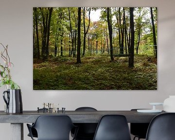 A maple forest in autumn
