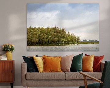 Aan de oevers van het Lauwersmeer van J.P. Zwart