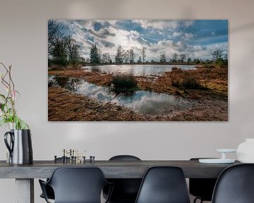 Water Aekingerzand Kale Duinen nabij Appelscha van R Smallenbroek