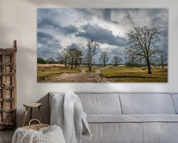 Zandpad Aekeringezand Kale Duinen nabij Appelscha van R Smallenbroek