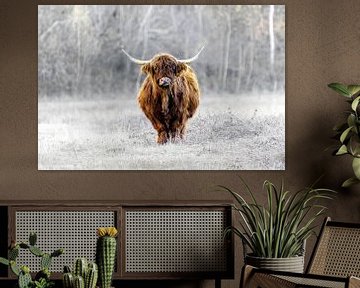 Hooglander van ton vogels