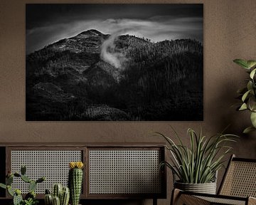 Le paysage montagneux et brumeux de Madère 4 sur Maickel Dedeken
