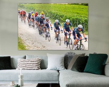 Visma Lease a Bike round of France gravel train by FreddyFinn