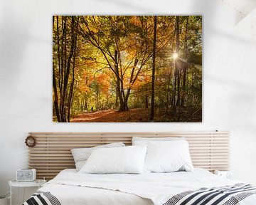 Wandelpad in het herfstbos van Studio17