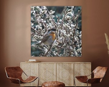 Roodborst